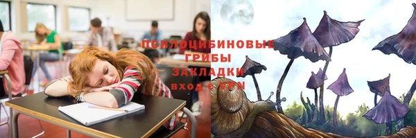 mdpv Богородск
