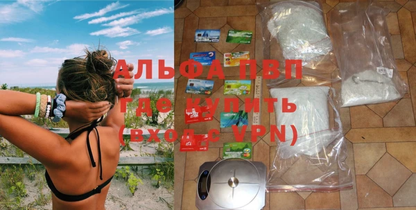 мескалин Богданович